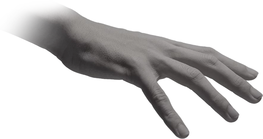 ZorvianLabs Creative Design Hand Left