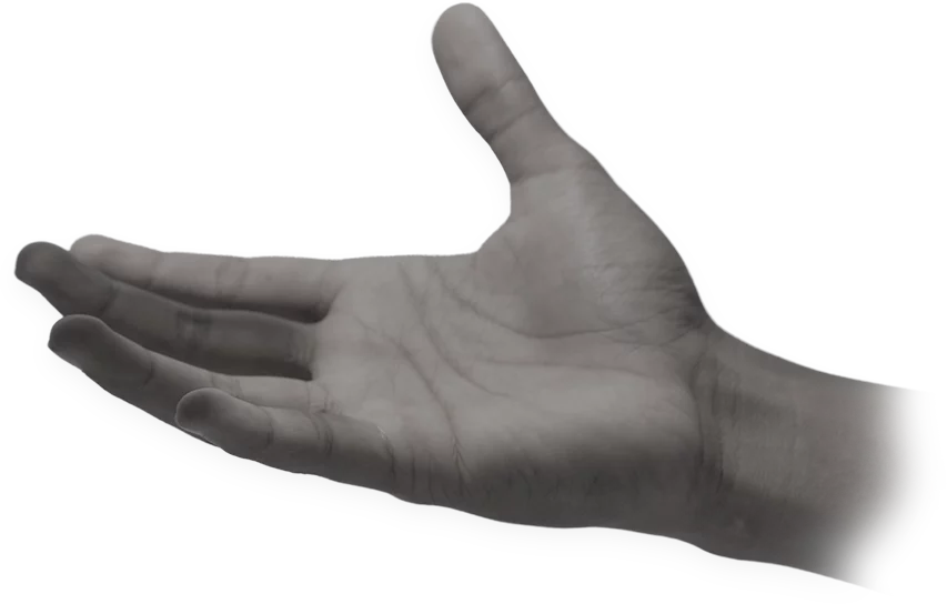 ZorvianLabs Creative Design Hand Right